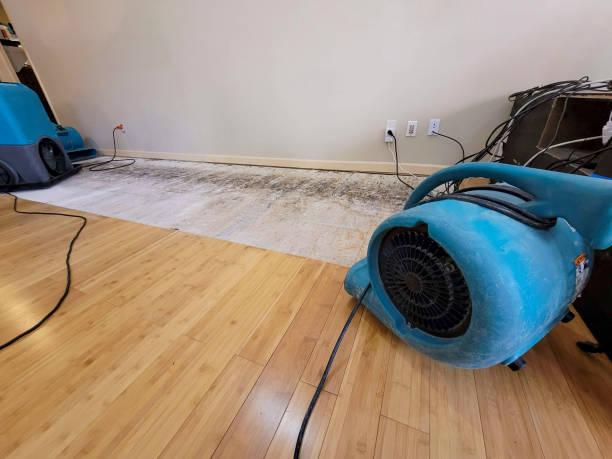 Professional Ceiling Water Damage Repair technician working in Avon-by-the-Sea, NJ